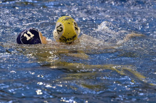 JCM_WPO-N2_VGA vs Colmar-062